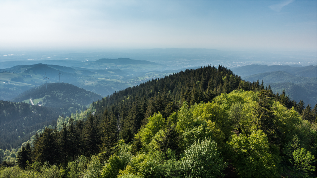 Nationalpark Schwarzwald